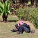 Un homme fait la sieste dans un parc.