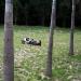 Un mendiant fait la sieste dans un parc de Shenzhen.