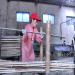 Une ouvriere fait passer des lamelles de bambou dans une machine pour les dcouper dans une petite usine de bambou dans la province de Zhejiang.