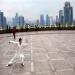 Un Homme habill en costume traditionnel chinois fait du tai chi chuan dans un parc de Shenzhen. 